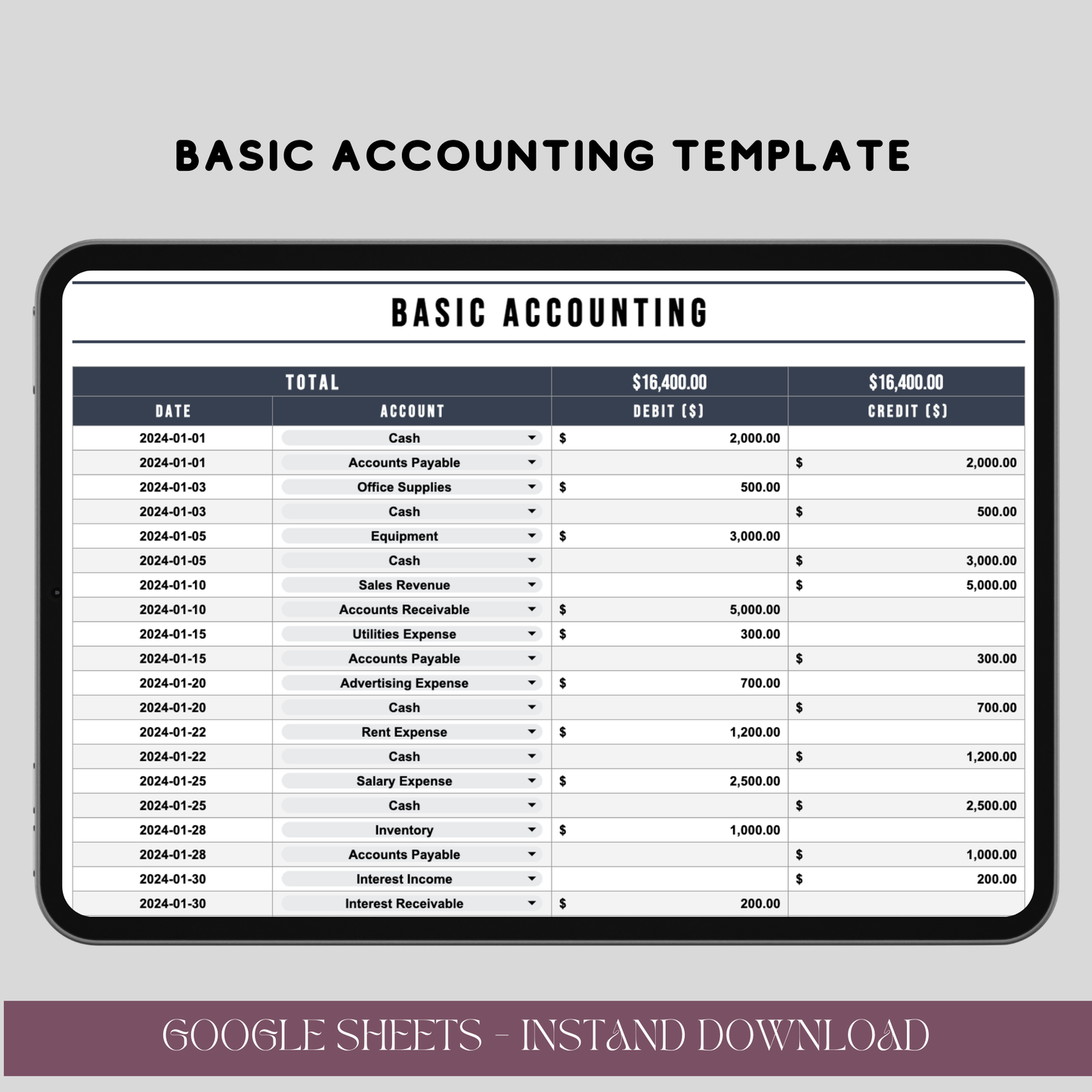 Basic Accounting Template for Google Sheets, Editable Financial Tracker, Digital Download for Small Businesses - TekbuDigital