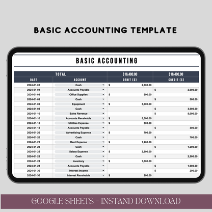 Basic Accounting Template for Google Sheets, Editable Financial Tracker, Digital Download for Small Businesses - TekbuDigital